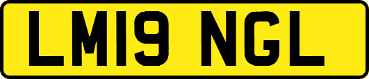 LM19NGL