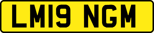 LM19NGM
