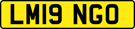 LM19NGO
