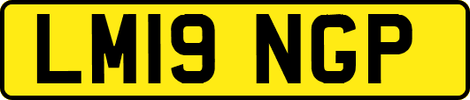 LM19NGP
