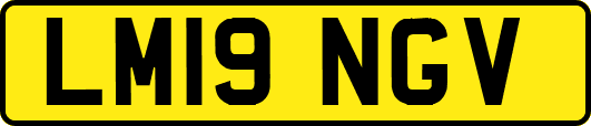 LM19NGV