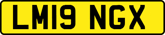 LM19NGX