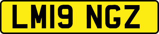 LM19NGZ