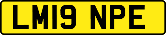LM19NPE