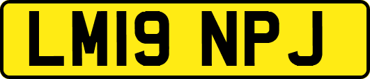 LM19NPJ