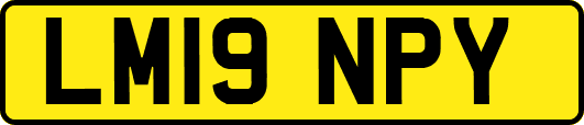 LM19NPY
