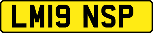 LM19NSP