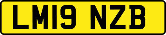 LM19NZB