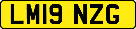 LM19NZG