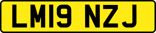 LM19NZJ