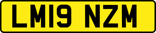 LM19NZM