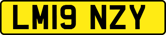 LM19NZY