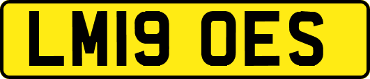 LM19OES