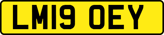 LM19OEY