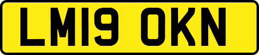 LM19OKN