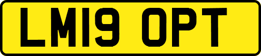 LM19OPT