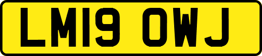 LM19OWJ