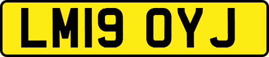 LM19OYJ