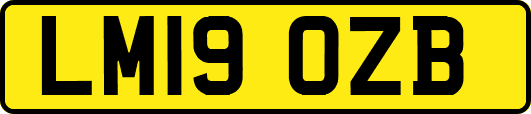 LM19OZB