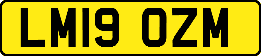 LM19OZM
