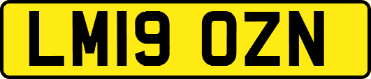 LM19OZN