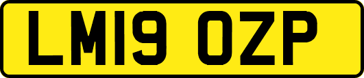 LM19OZP