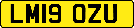 LM19OZU
