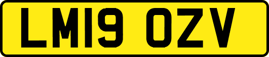 LM19OZV