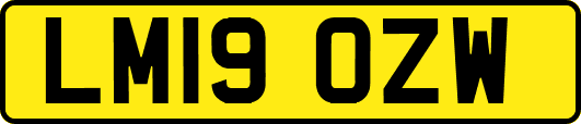 LM19OZW