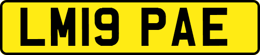 LM19PAE