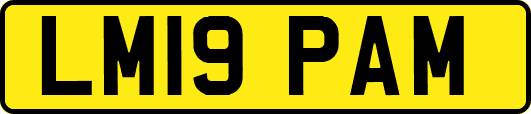 LM19PAM