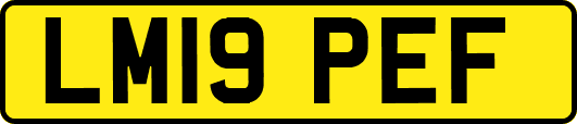 LM19PEF
