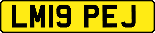 LM19PEJ