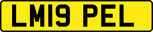 LM19PEL