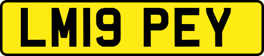 LM19PEY
