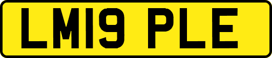 LM19PLE