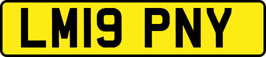 LM19PNY
