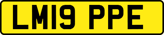 LM19PPE