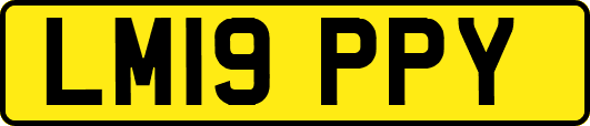 LM19PPY