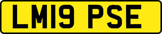 LM19PSE