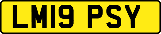 LM19PSY