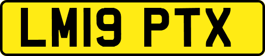 LM19PTX