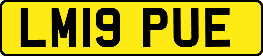 LM19PUE