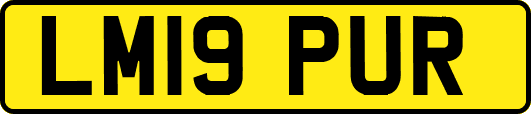 LM19PUR