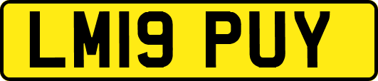 LM19PUY