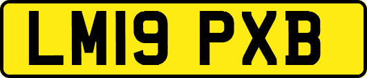 LM19PXB