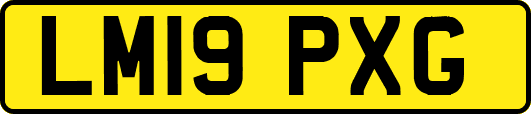 LM19PXG