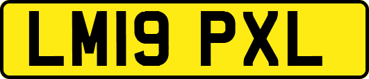 LM19PXL