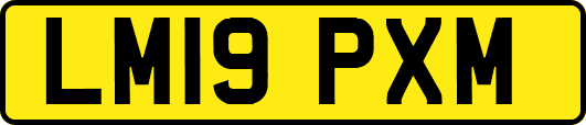 LM19PXM