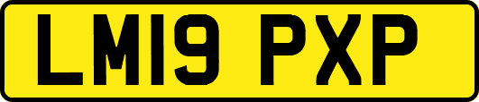 LM19PXP